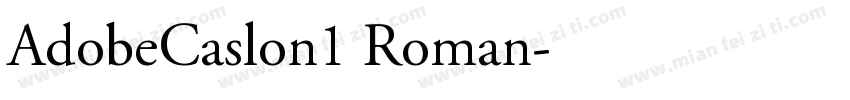AdobeCaslon1 Roman字体转换